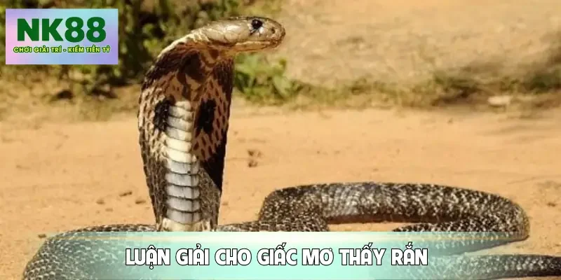 mo-thay-ran-ly-giai